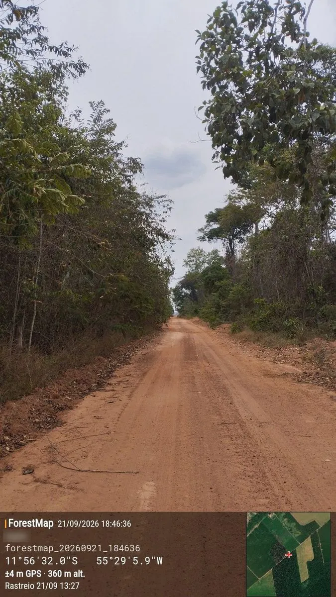Estrada de terra entrando na mata; no rodapé da foto, o carimbo do ForestMap com data, coordenada, exatidão do GPS e mapa de localização