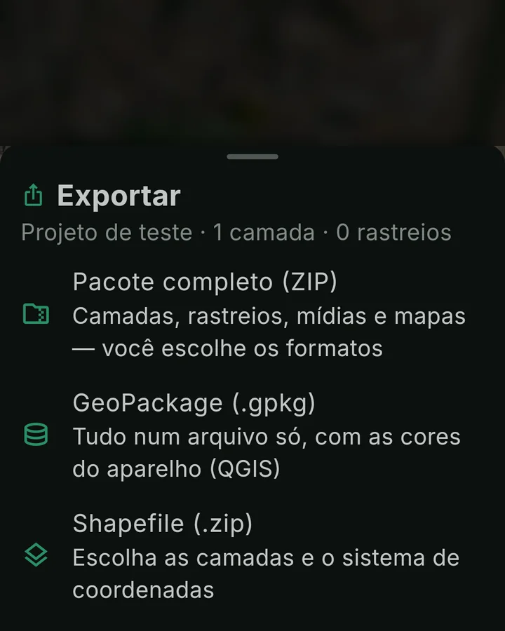 Tela de exportação do ForestMap: pacote ZIP, GeoPackage ou shapefile